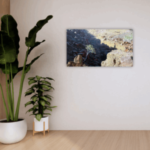 James Mooney <br>388<br>750 mm x 420 mm